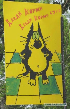 Давай корми!