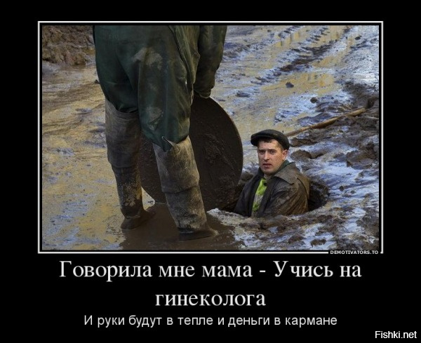 Я не гинеколог, но могу...