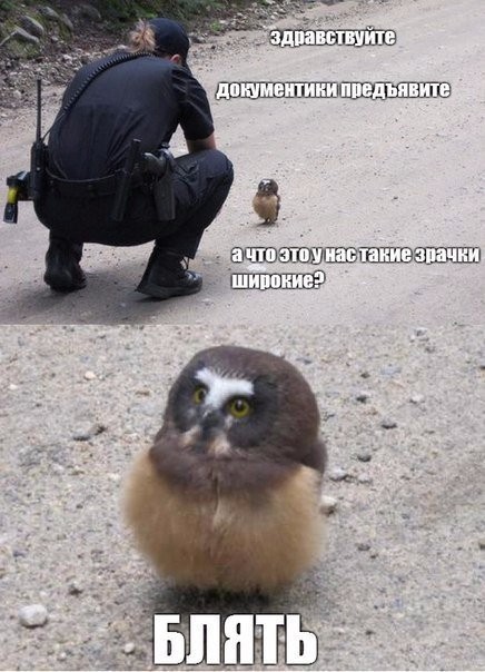 Пати в разгаре