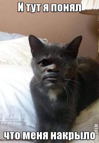 Я такая от природы