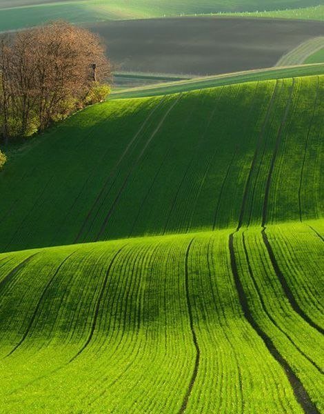 Прикольные и просто красивые картинки 09.04.2020