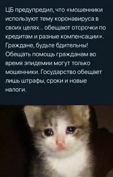 Бредзона на 11 апреля 2020г