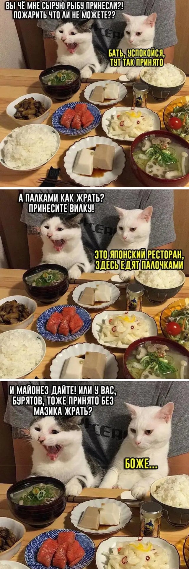 Так себе картинки 15.05.20