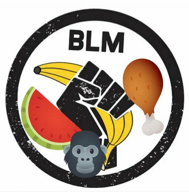 BLM или ничего не понятно!