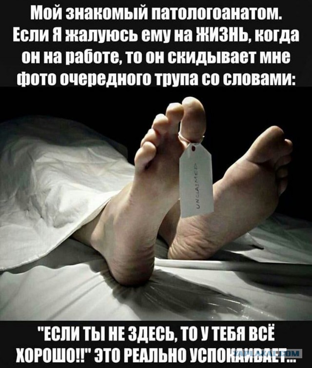 Уважаемому Владимиру Владимировичу сегодня 68!