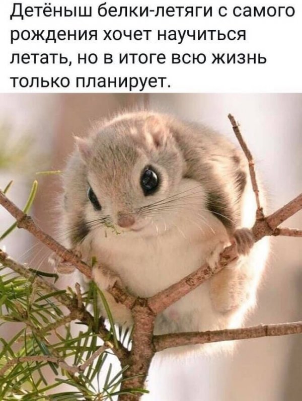 Прикольные и просто красивые картинки 22.10.2020