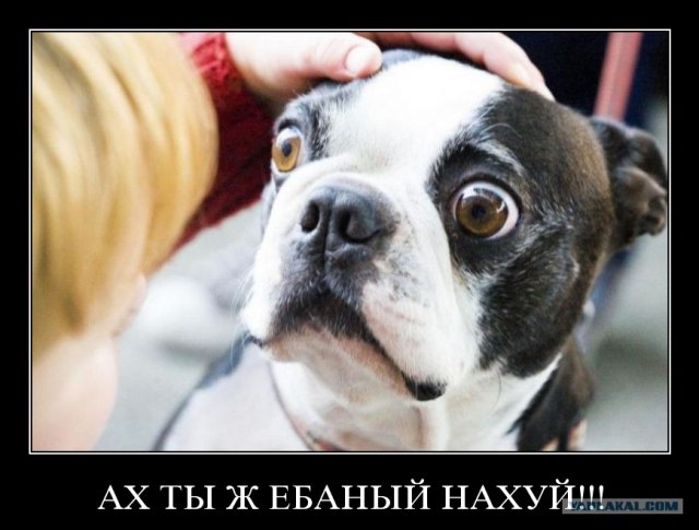 Таксидермия + наркомания