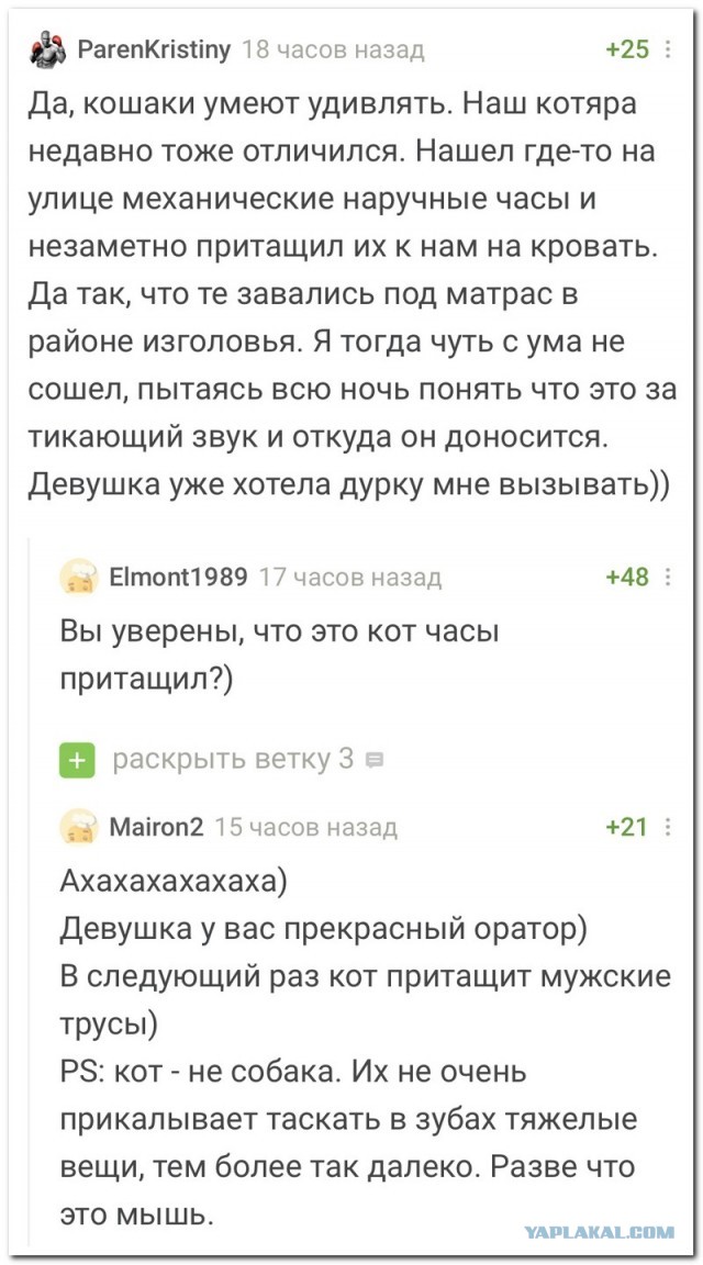 Забавные комментарии из социальных сетей 01.02.21