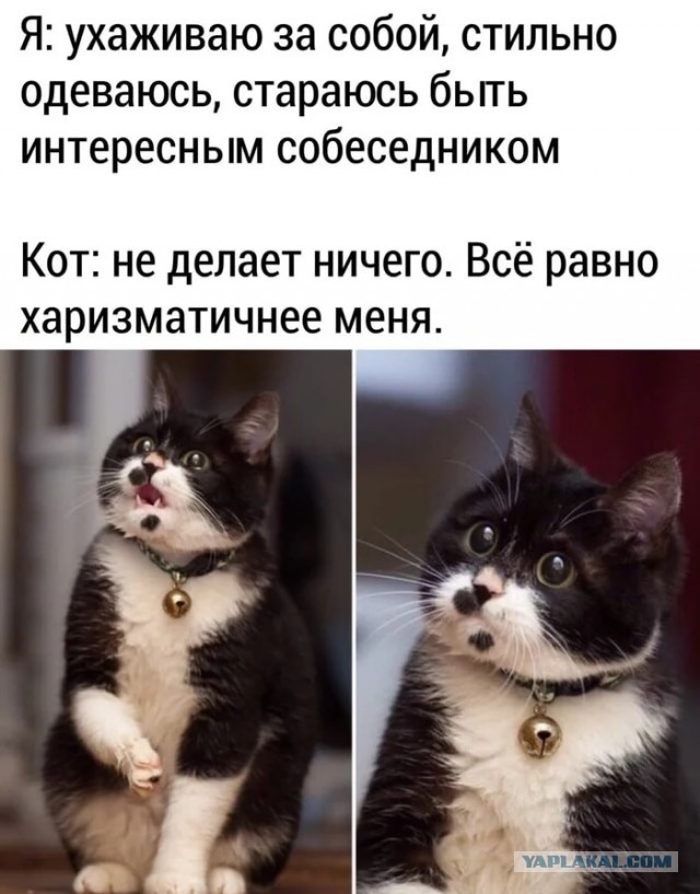 Картинки и мемы для настроения 004