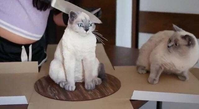 Добрые картинки 28.11.20