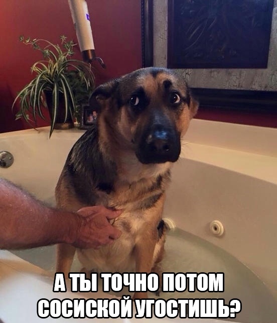 Так себе картинки 27.04.21