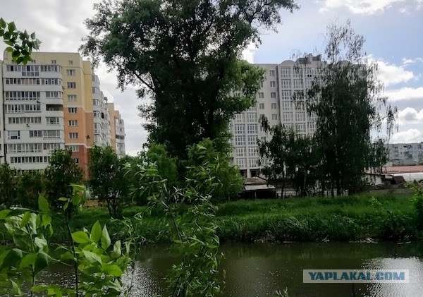 Глава «Белавиа» назвал запрет на полеты «фашистской извращенностью»