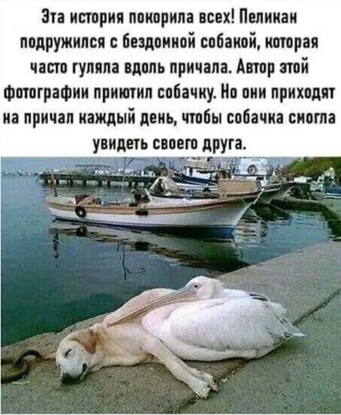 Картинки с надписями и всякие жизненные фразы 20.06.21