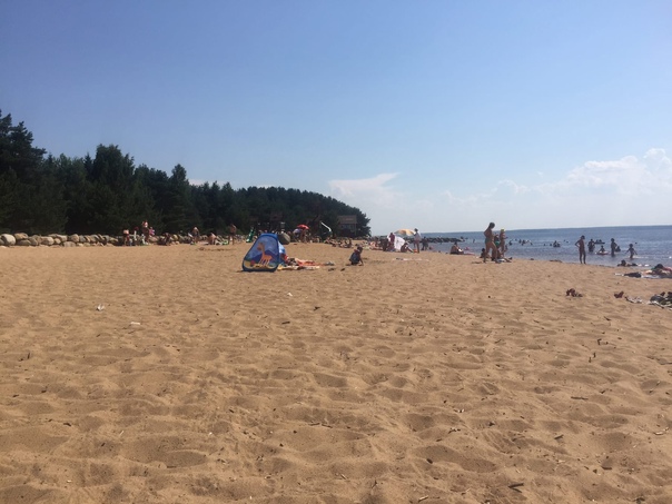 Бабы козлы