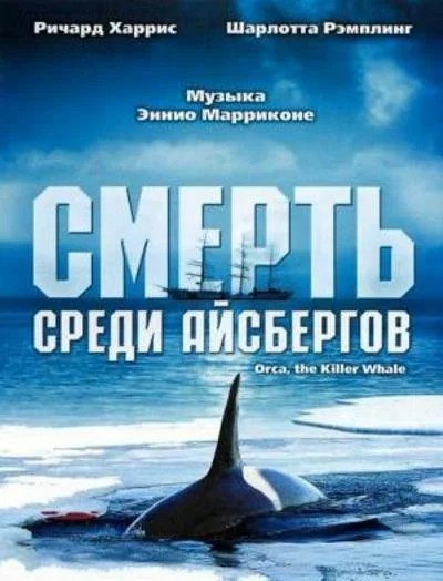 Косатки преследуют лодку