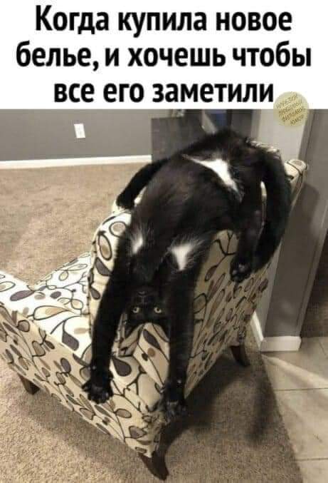 Всяческие картинки 17.11.2021