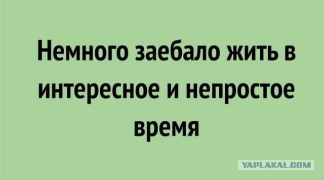 Гинцбург: ревакцинироваться "Спутником" можно каждые полгода бесконечное число раз