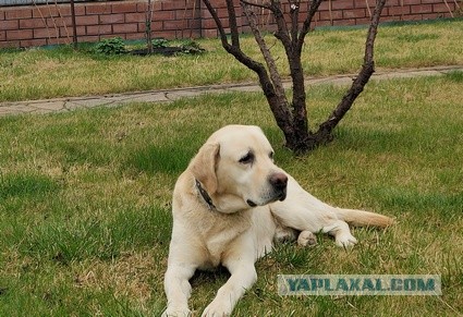 Блин! ну как так то?