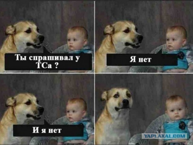 Вы спрашивали, есть ли у меня домашняя живность, коллеги.