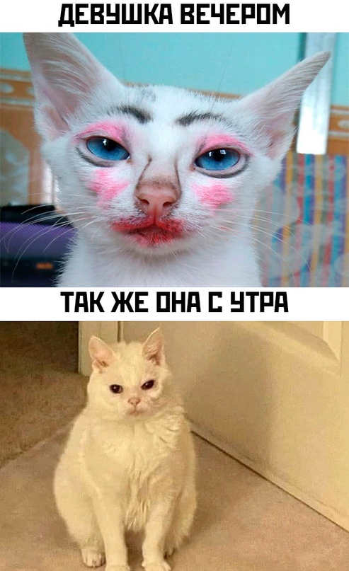Картинки и мемы для настроения - 31