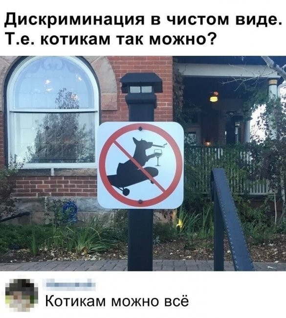 Скриншоты и комментарии из социальных сетей 04.09.22