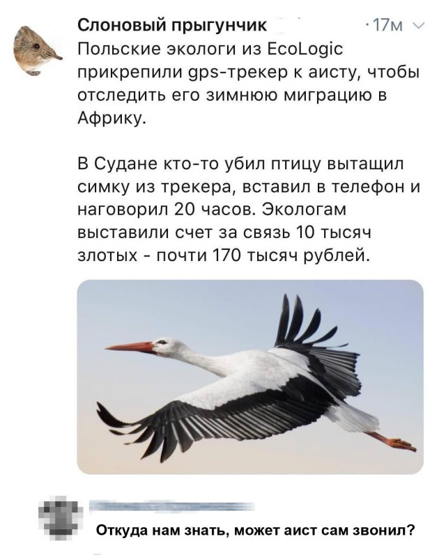 Картинки и мемы. Выходные близко...