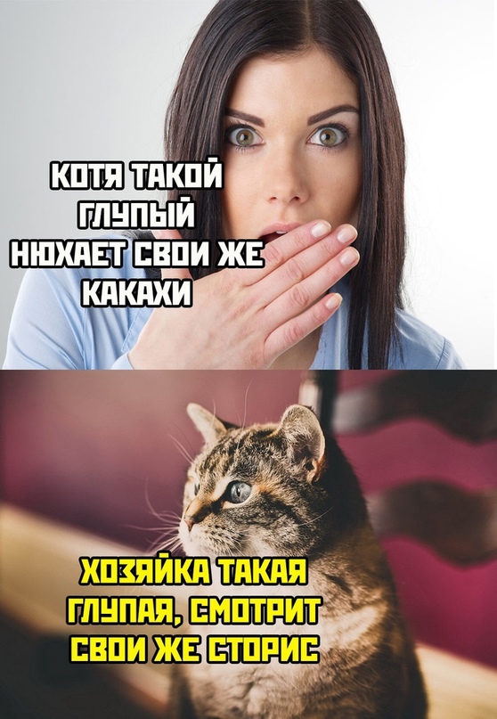Картинки и мемы для настроения - 123