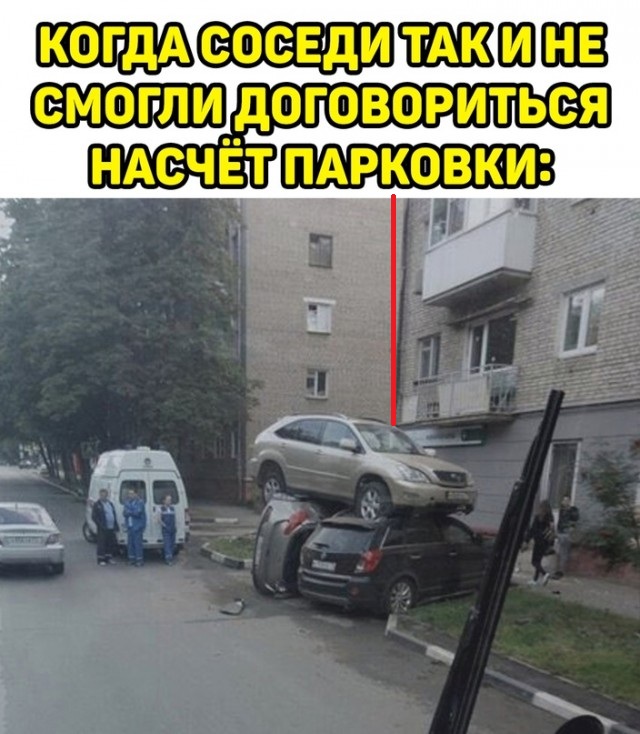 Весёлый полтишок 26.12.2022