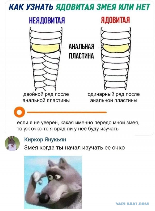 Зло проснулось