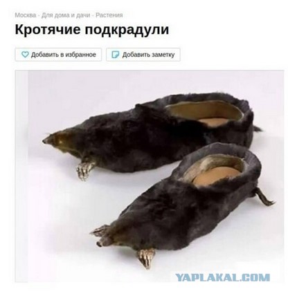 Принёс подкрадули на возврат