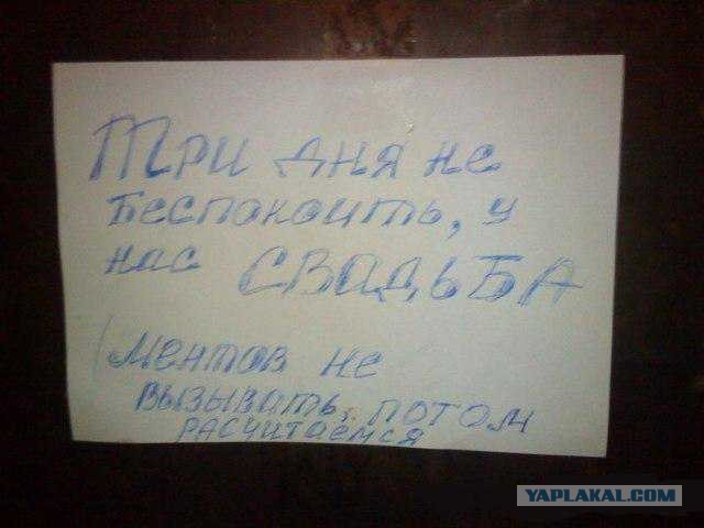 Якась скотина