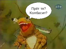 Жена⁠⁠