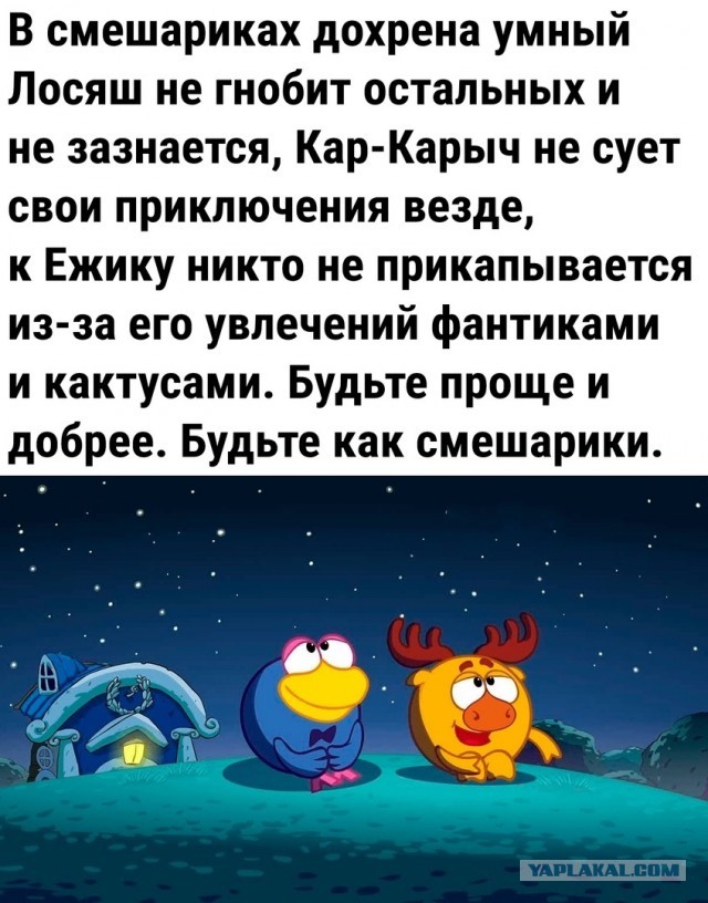 Так себе картинки 16.02.24