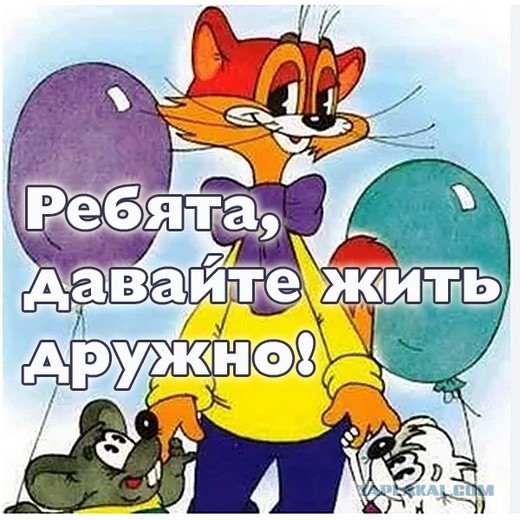Зоонекрологи. Их все больше