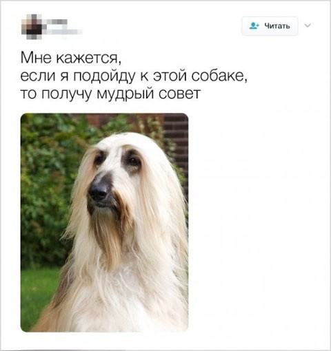 Забавные комментарии из социальных сетей (28.05.24)