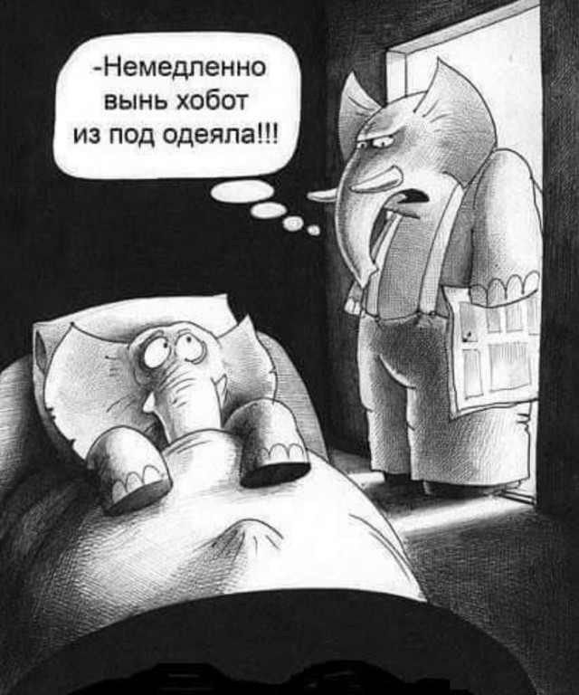 Завалялось тут случайно немного забавных картинок
