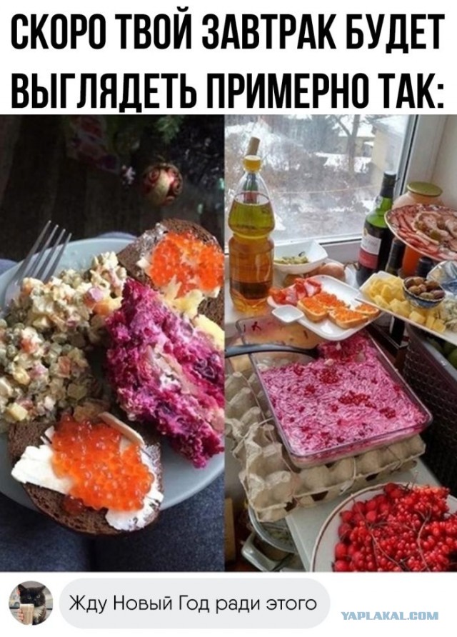 Веселые картинки после длинных выходных (09.01)