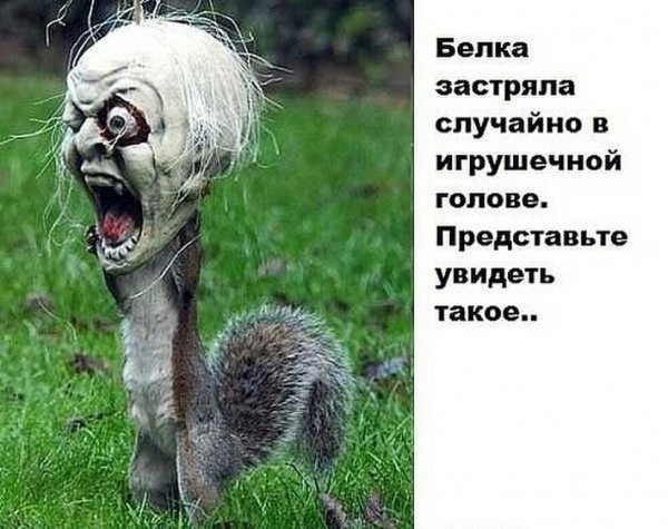 Завалялось тут случайно немного забавных картинок