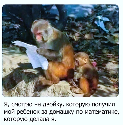 Доставка новостей