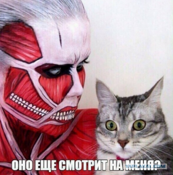 Веселые картинки в понедельник (03.03)