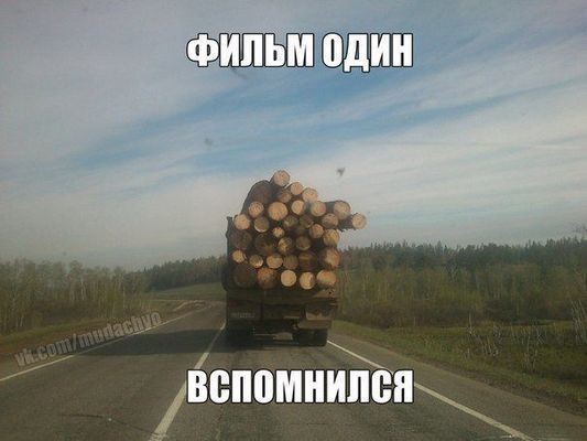 В лобовое стекло легковушки прилетел кусок грузовика: скончалась жительница Воронежа