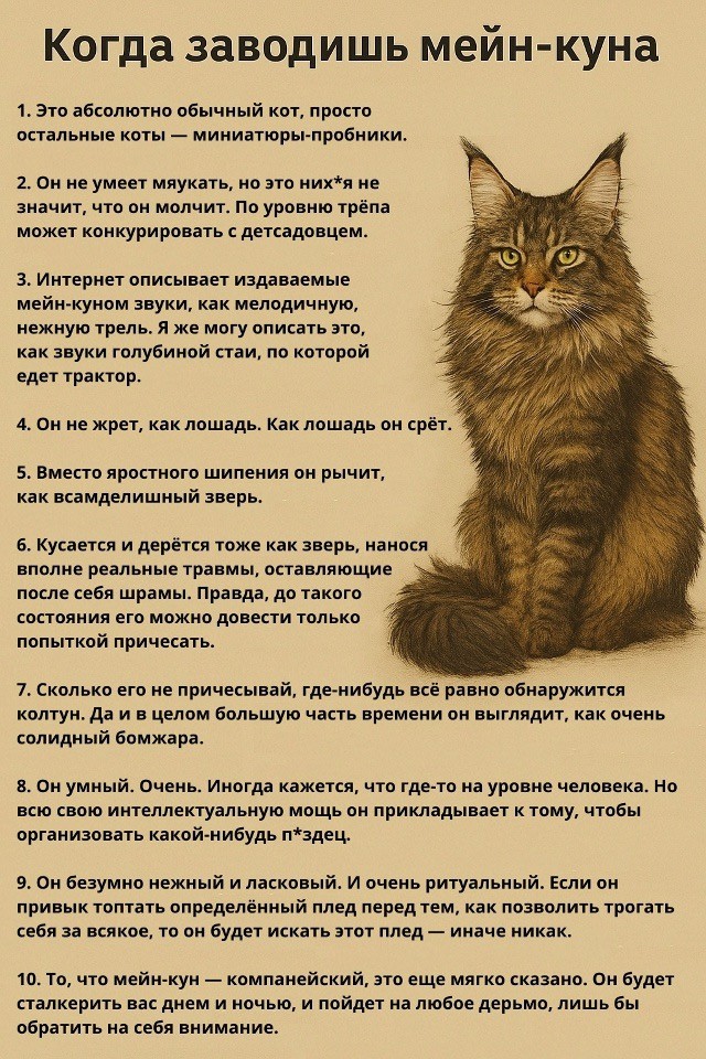 Воскресные картинки