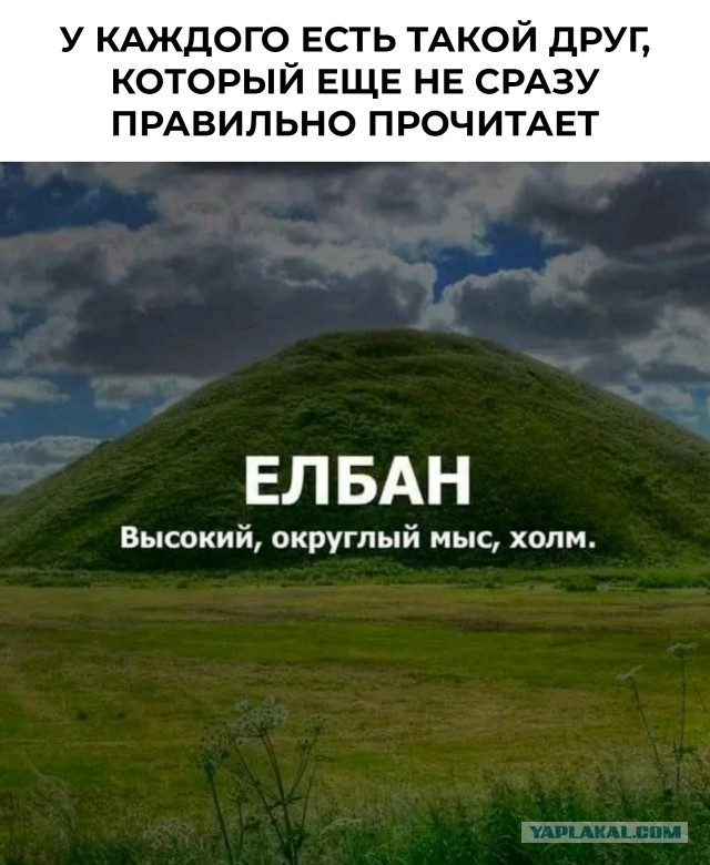 Так себе картинки 11.11.25