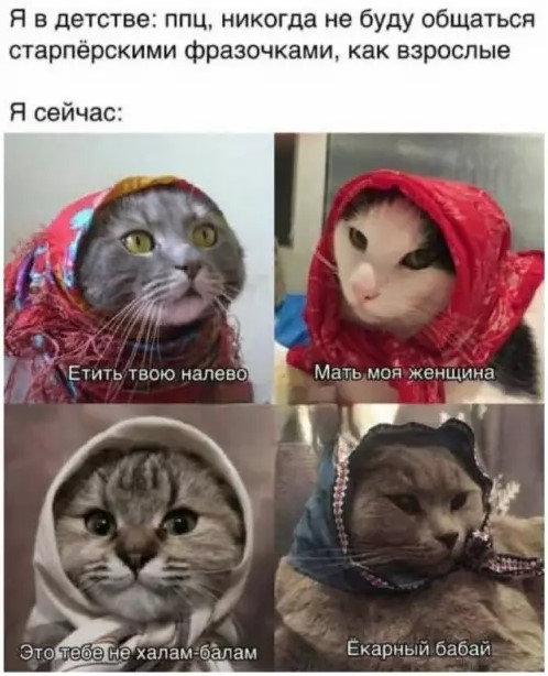 Картиночки, баянчики 21 марта
