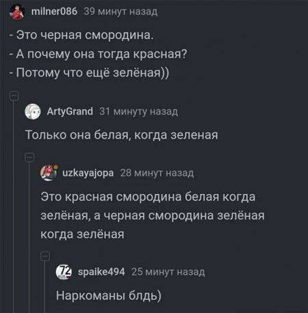 Потная гамсахурдия №5 (Картинки)