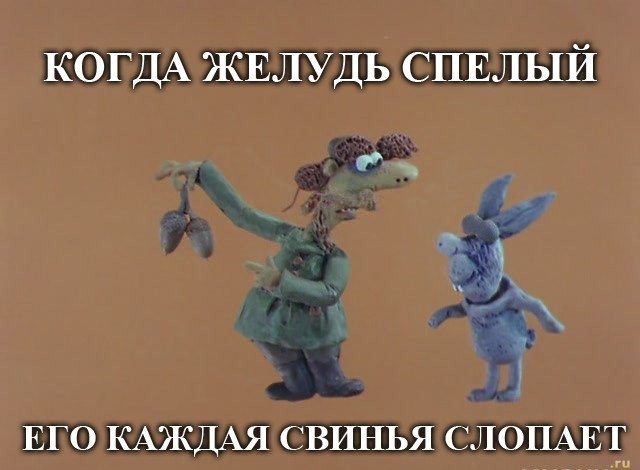 Жан Клод Ванн бурундук