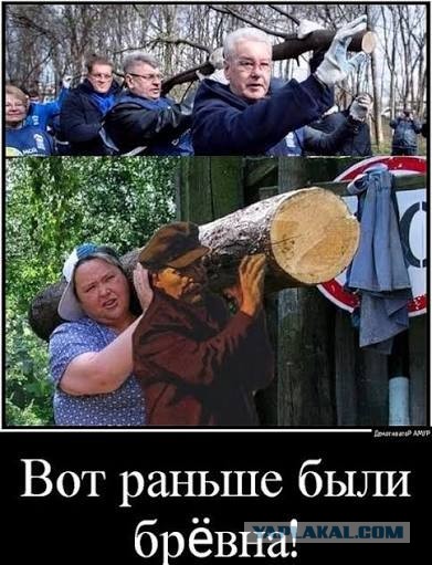 Кусок от вишни