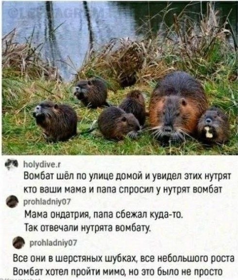 Картинки для деградации 293 (разной степени свежести)