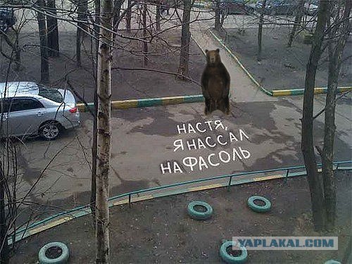 Любовь, Настя и фасоль
