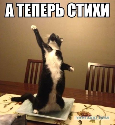 Капля позитива